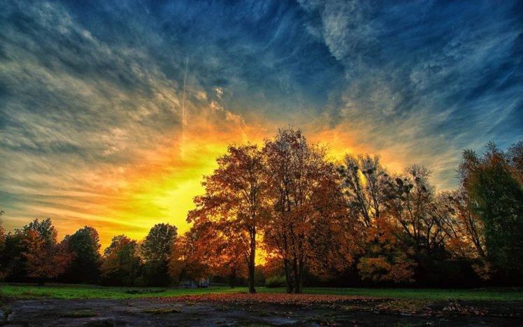 sunlight, Fall, Sky, Clouds HD Wallpaper Desktop Background