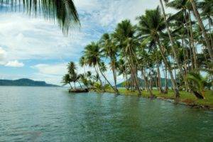 coast, Palm trees, Island