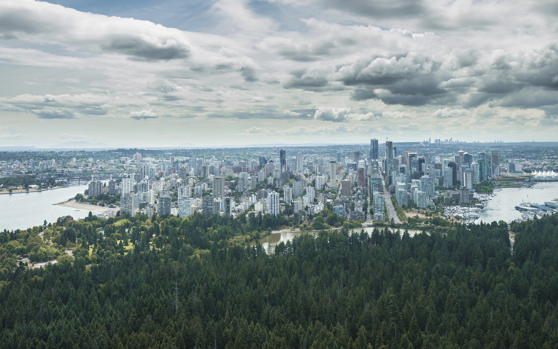 city, Cityscape, Forest, Trees, Clouds Wallpaper