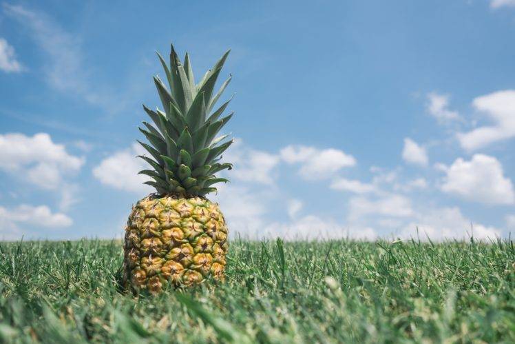 pineapples, Grass HD Wallpaper Desktop Background