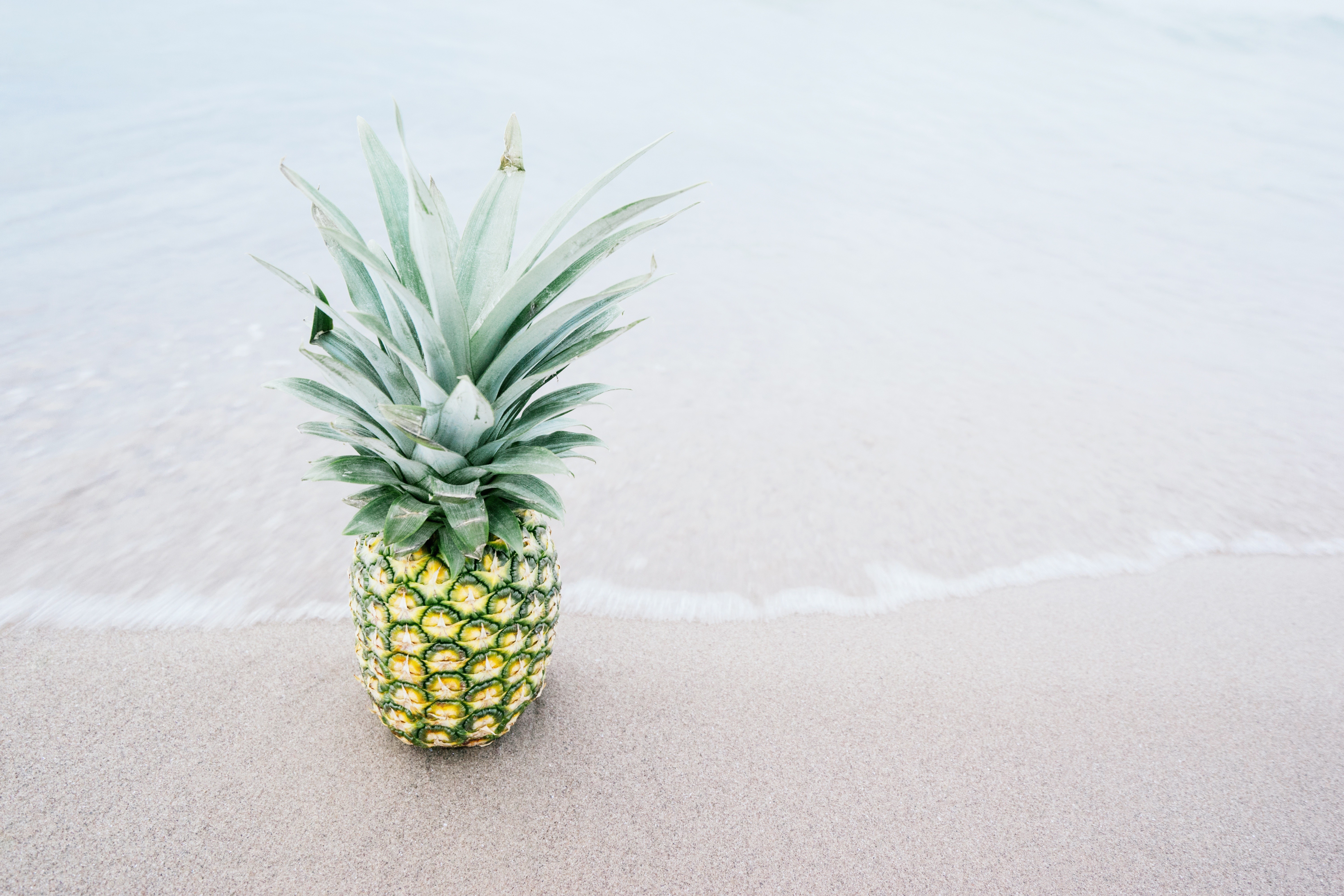 pineapples, Beach Wallpaper