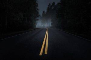 road, Mist, Dark, Trees, Asphalt, Yellow, Night, Pine trees, Forest