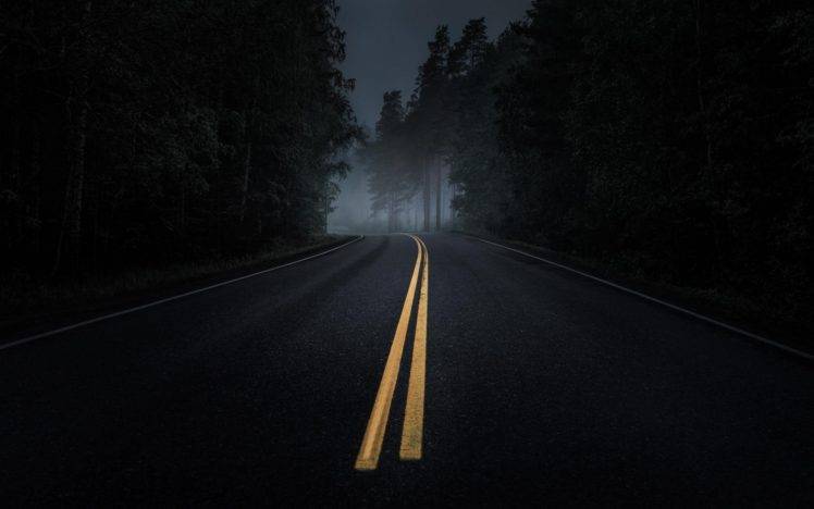 road, Mist, Dark, Trees, Asphalt, Yellow, Night, Pine trees, Forest Wallpapers  HD / Desktop and Mobile Backgrounds