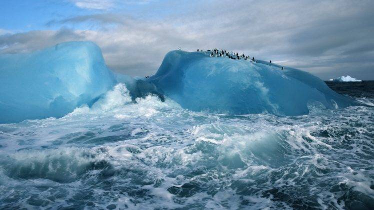 iceberg, Sea HD Wallpaper Desktop Background