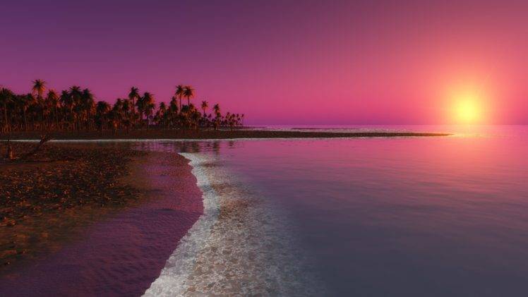 water, Beach, Palm trees, Sunlight, Evening HD Wallpaper Desktop Background