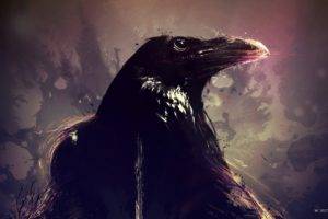 artwork, Birds, Raven