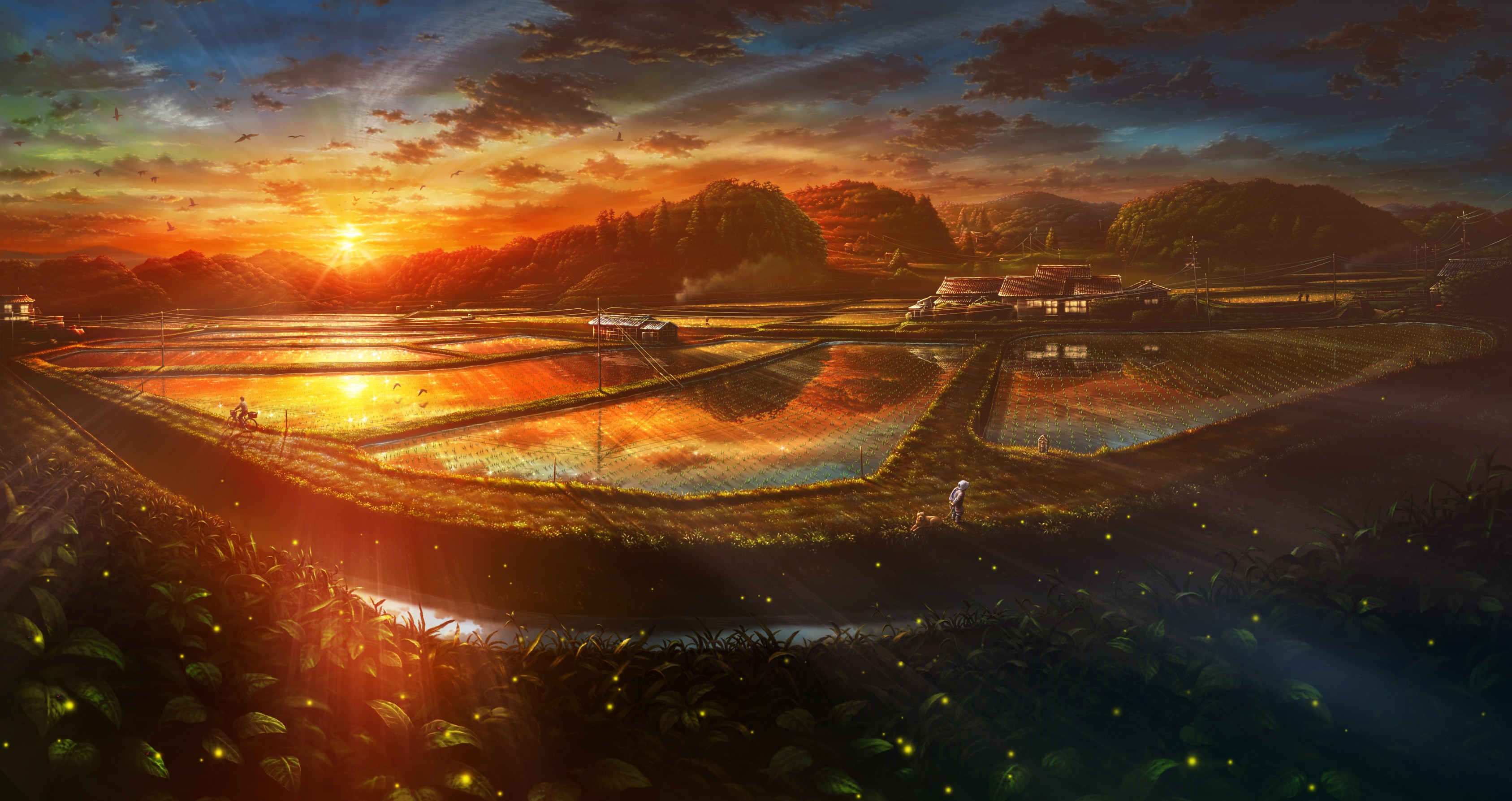 Japanese, Farm, Japan, Sunlight, Terraced field, Leaves, Artwork, Fireflies Wallpaper