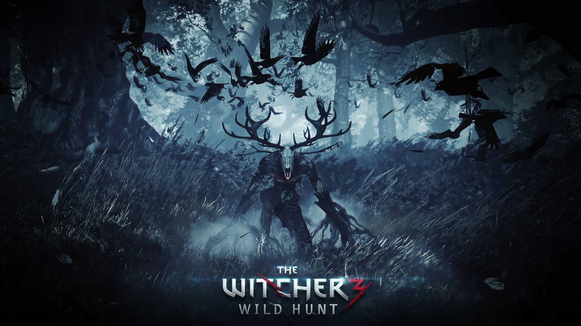 The Witcher, Video games, The Witcher 3: Wild Hunt Wallpaper