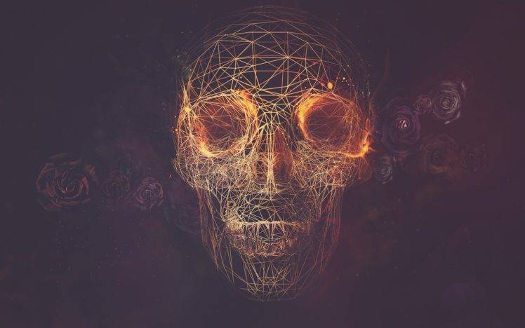 skull, Artwork HD Wallpaper Desktop Background