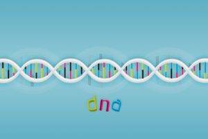 DNA, Simple, Simple background, Minimalism, Geometry