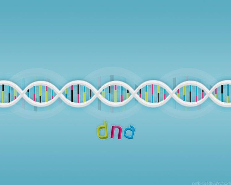 DNA, Simple, Simple background, Minimalism, Geometry HD Wallpaper Desktop Background