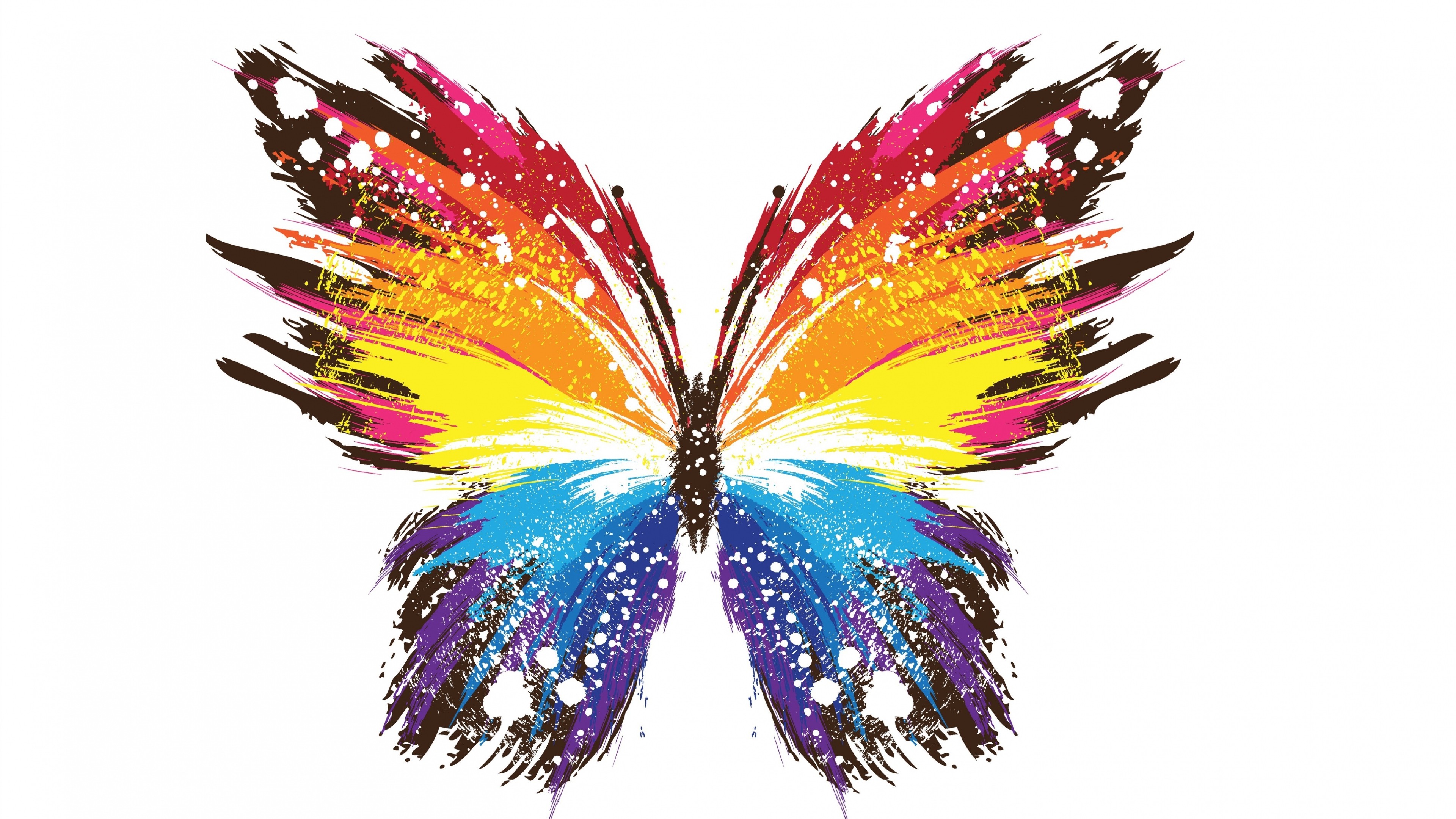 colorful, Butterfly, Artwork, Paint splatter, White background Wallpaper