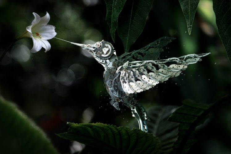 hummingbirds, Gears, Birds, Flowers, Machine, Digital art, Render HD Wallpaper Desktop Background