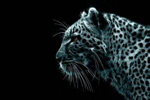 leopard, Black background, Fractalius, Animals, Digital art, Simple background