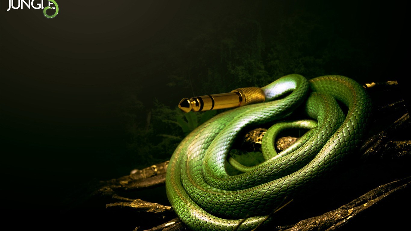 digital art, Snake Wallpaper