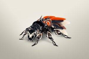 insect, Simple background, Render, CGI, Digital art, Animals