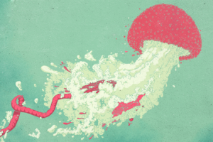 artwork, Jellyfish, Simple background