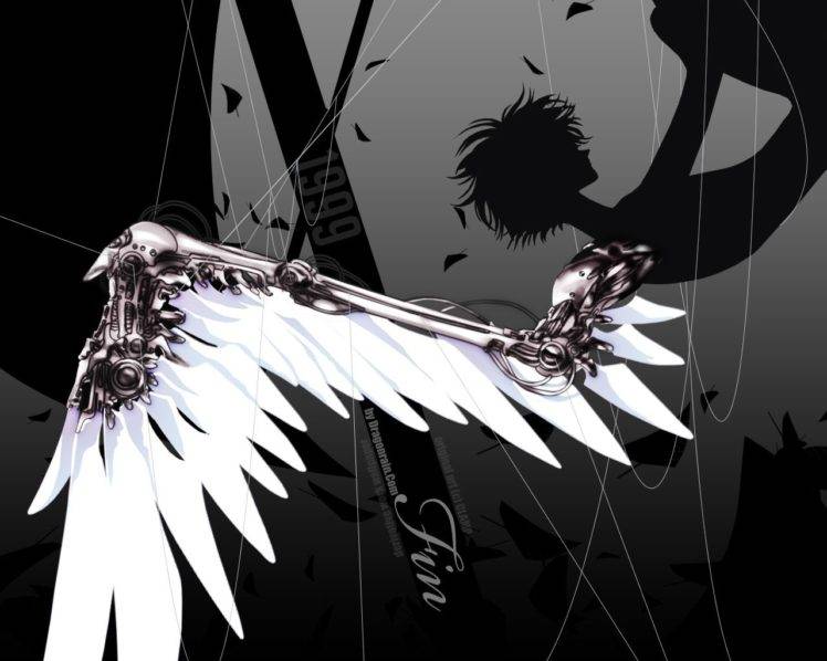 artwork, Wings HD Wallpaper Desktop Background