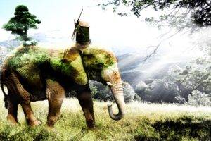 digital art, Animals, Elephant