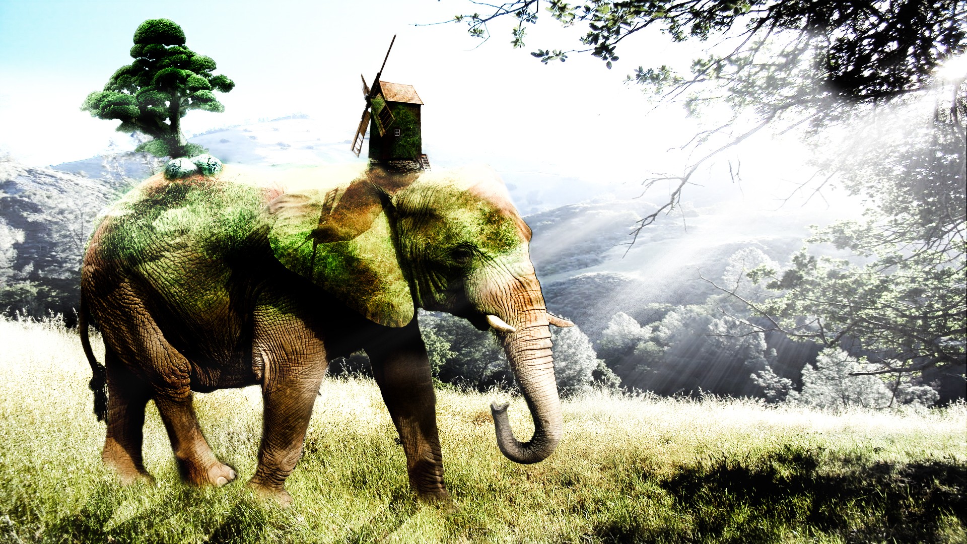 digital art, Animals, Elephant Wallpaper
