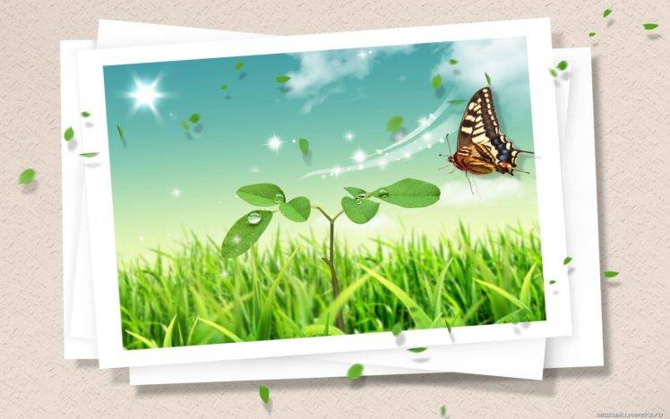 insect, Butterfly, Digital art HD Wallpaper Desktop Background