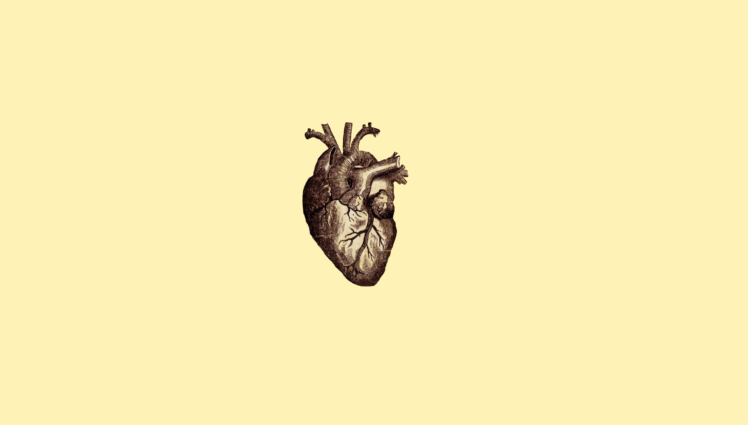 digital art, Minimalism, Simple, Simple background, Drawing, Anatomy, Hearts, Veins, Medicine HD Wallpaper Desktop Background
