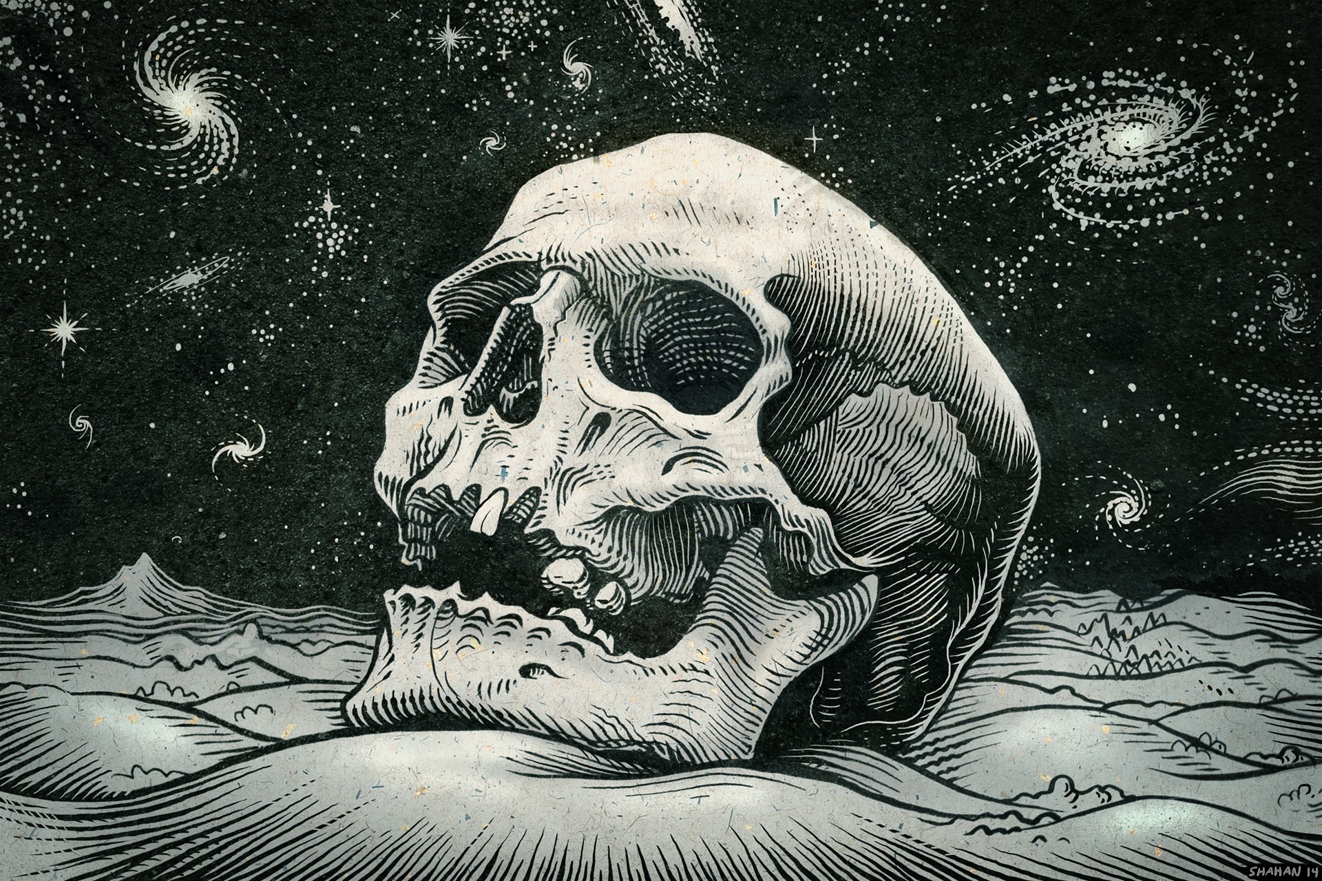 skull, Artwork Wallpaper