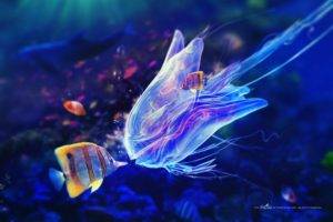 digital art, Underwater, Fish, Kissing, Adam Spizak