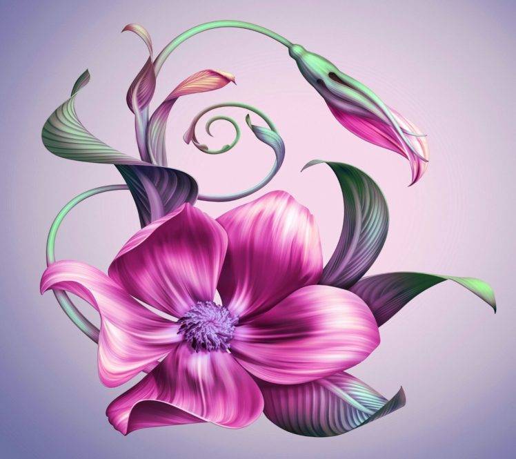artwork, Flowers HD Wallpaper Desktop Background