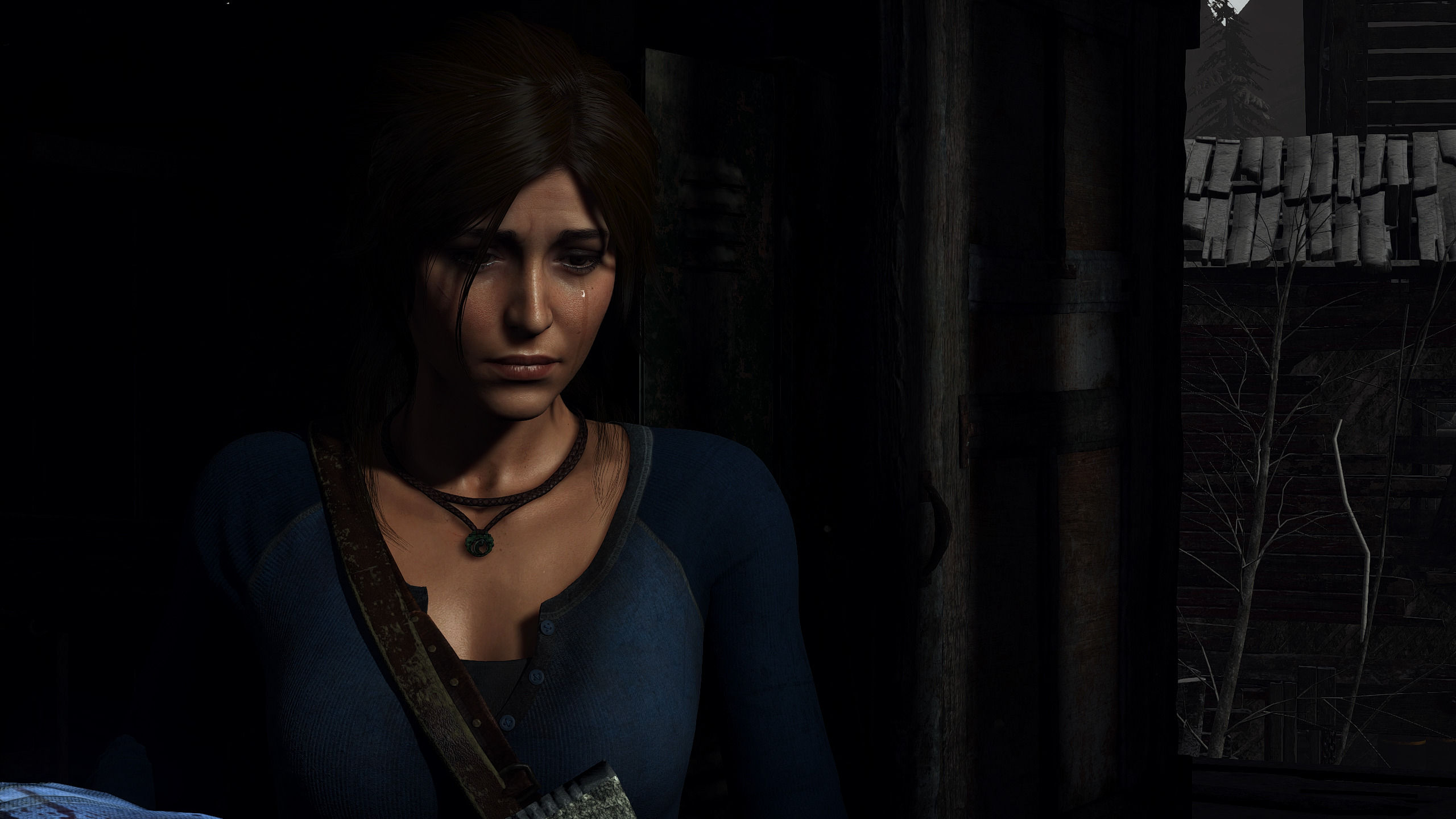 Lara Croft, Rise of the Tomb Raider Wallpaper
