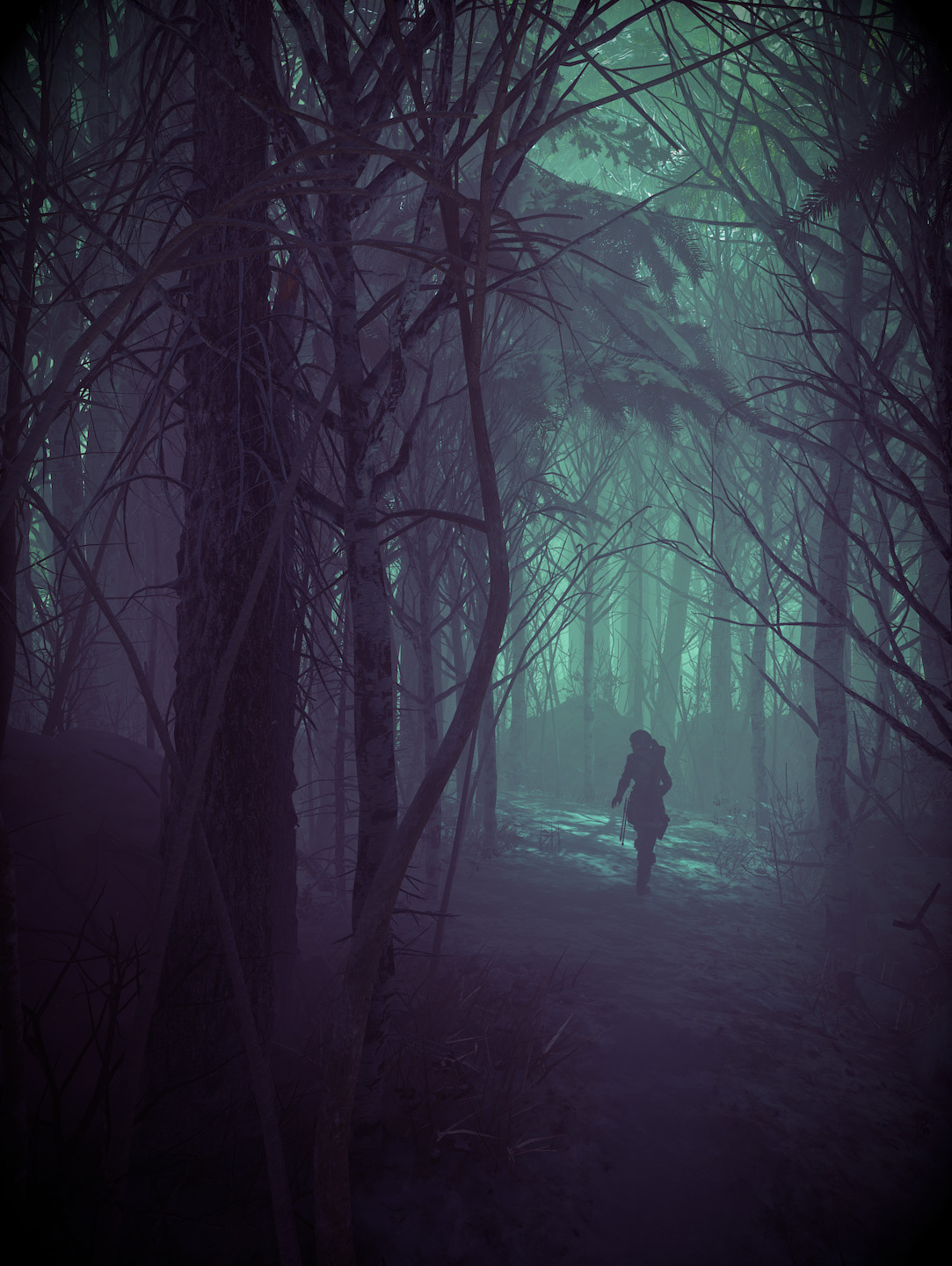 Lara Croft, Tomb Raider, Rise of the Tomb Raider Wallpapers HD