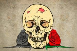 skull, Flowers, Rose, Artwork