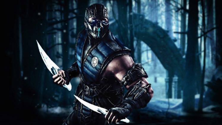 Sub Zero, Warrior, Mortal Kombat, Video games, Artwork, Digital art HD Wallpaper Desktop Background