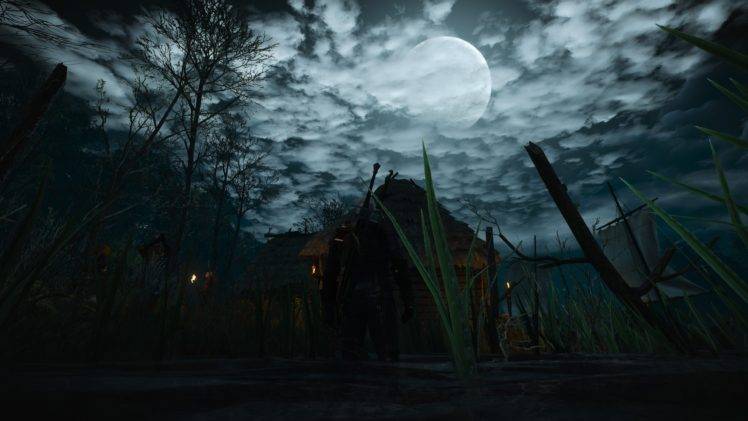 The Witcher 3: Wild Hunt, Moon, Night, Video games HD Wallpaper Desktop Background