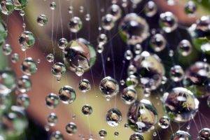water drops, Digital art