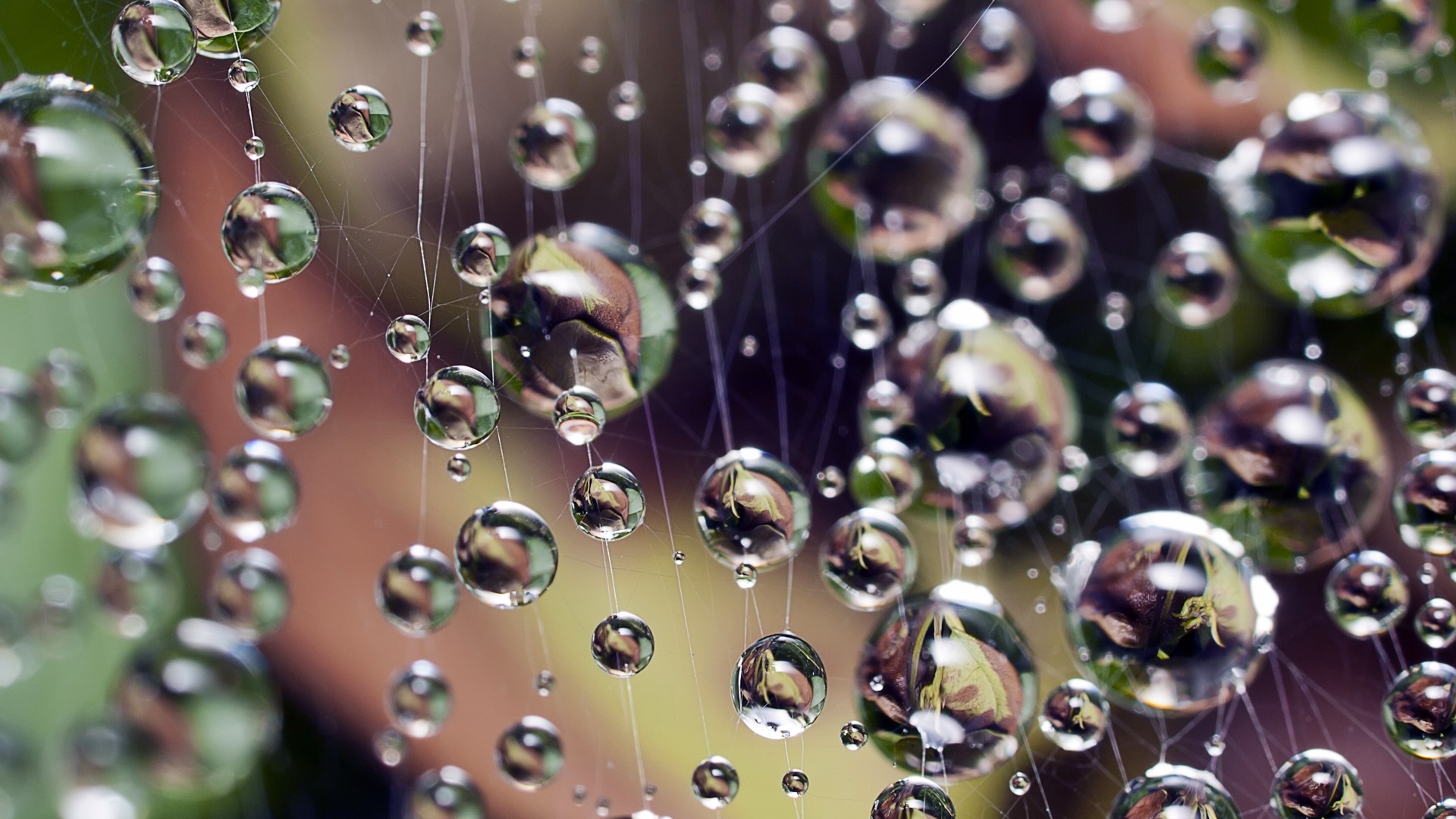 water drops, Digital art Wallpaper