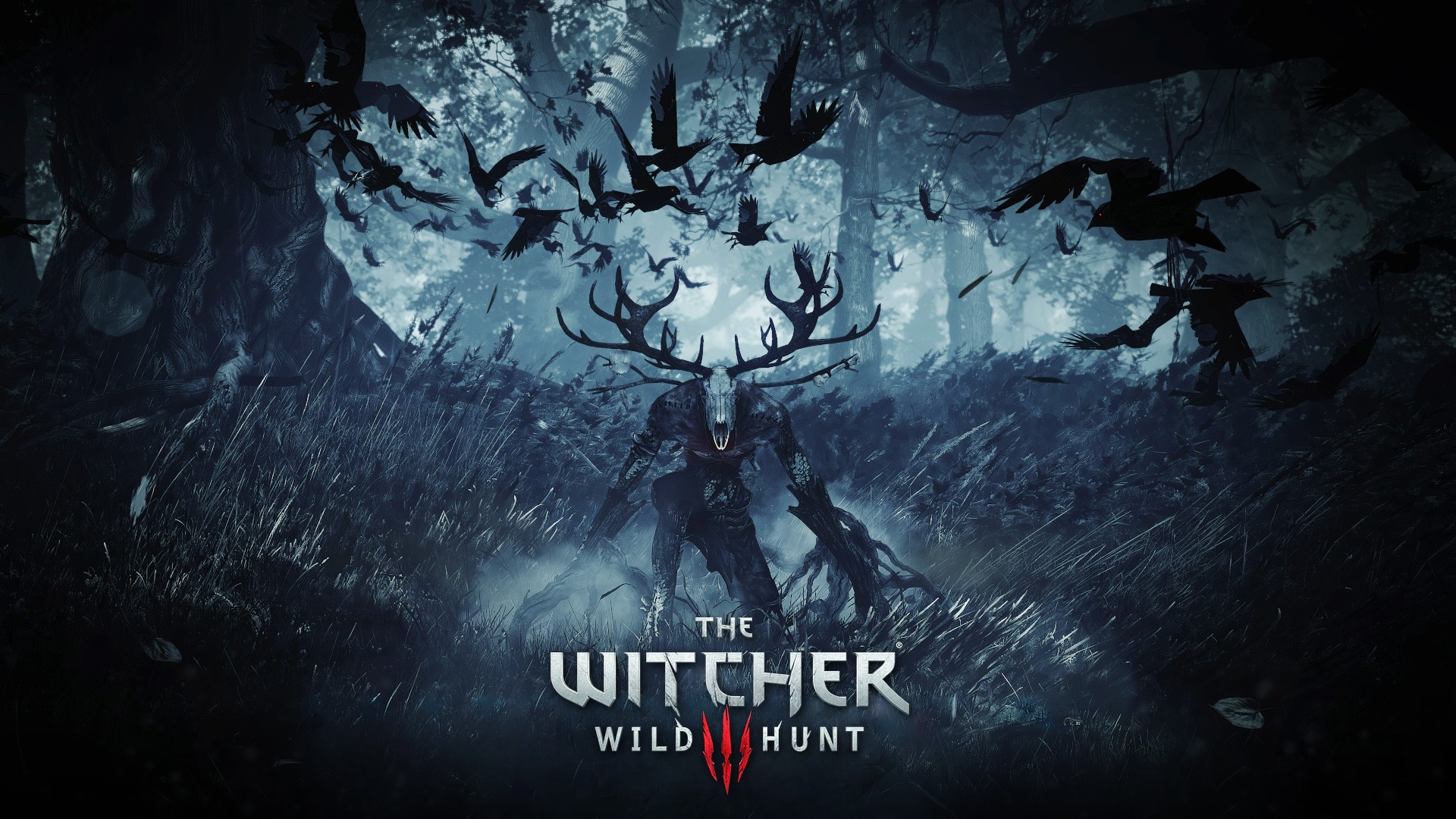 The Witcher, The Witcher 3: Wild Hunt Wallpaper