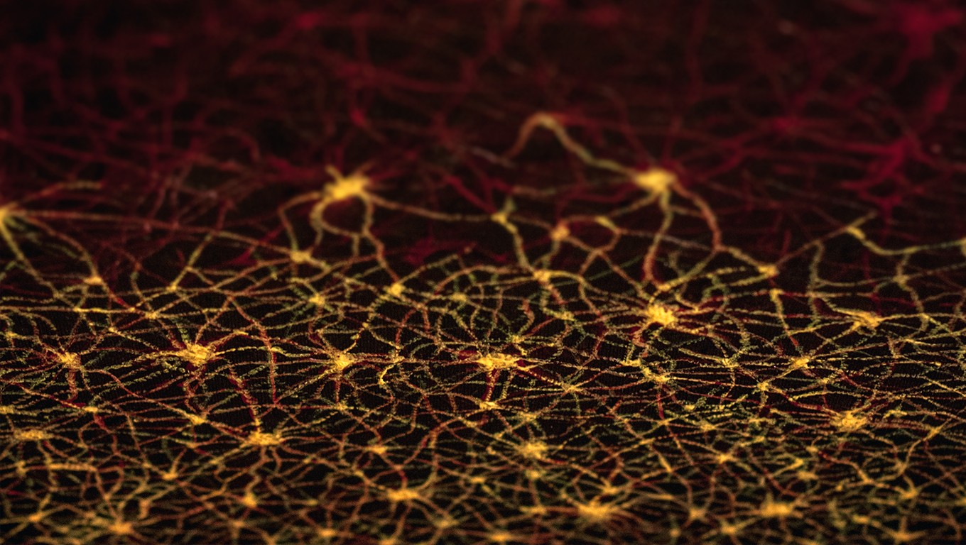 abstract, Depth of field Wallpaper