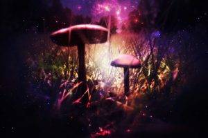 mushroom, Digital art, Artwork