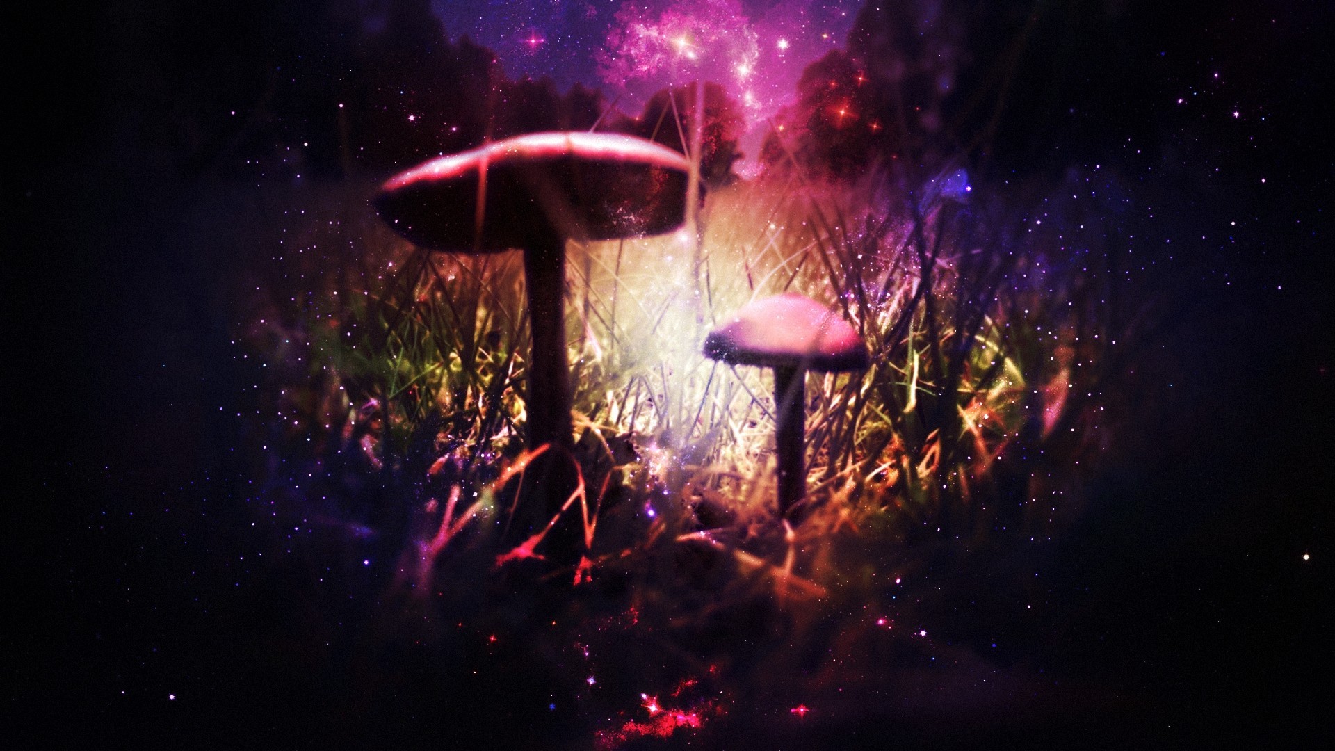 mushroom, Digital art, Artwork Wallpaper