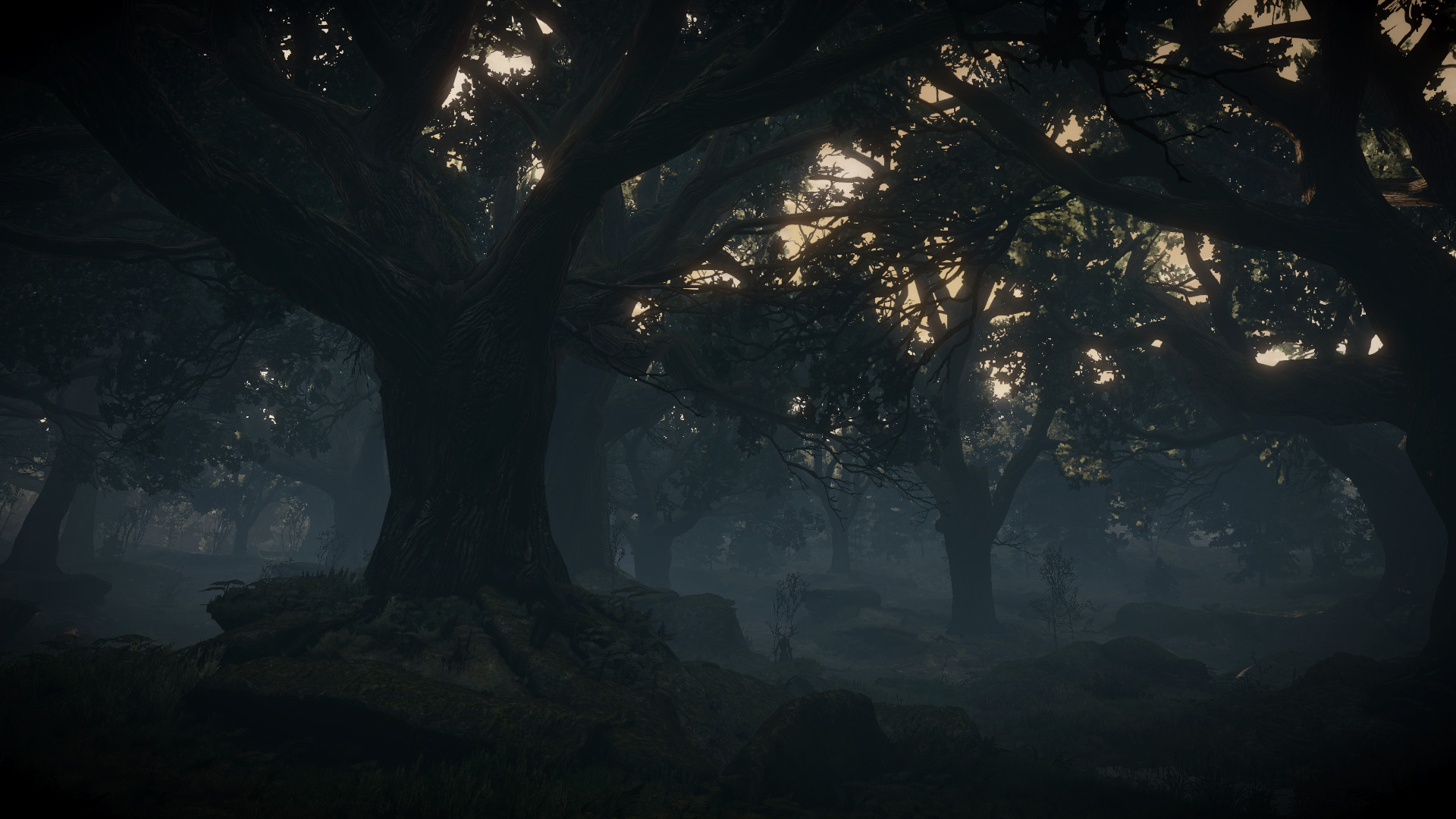 Темный лес Ведьмак