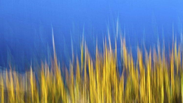 digital art, Blue background, Plants HD Wallpaper Desktop Background