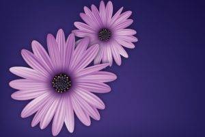 flowers, Purple, Vector, Digital art, Simple background