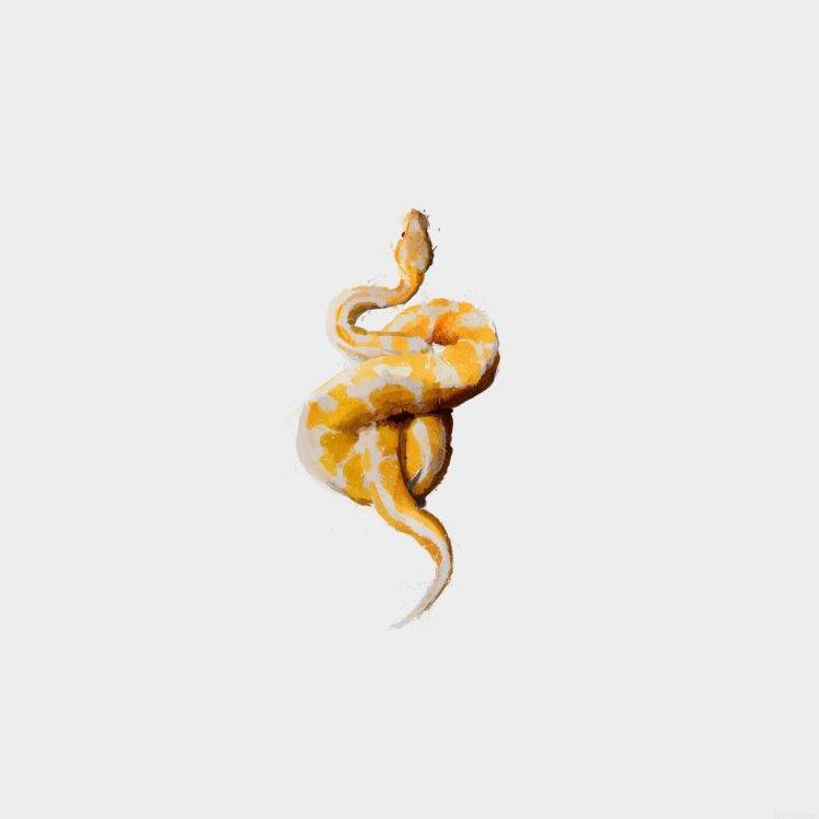animals, White background, Simple, Snake, Artwork HD Wallpaper Desktop Background