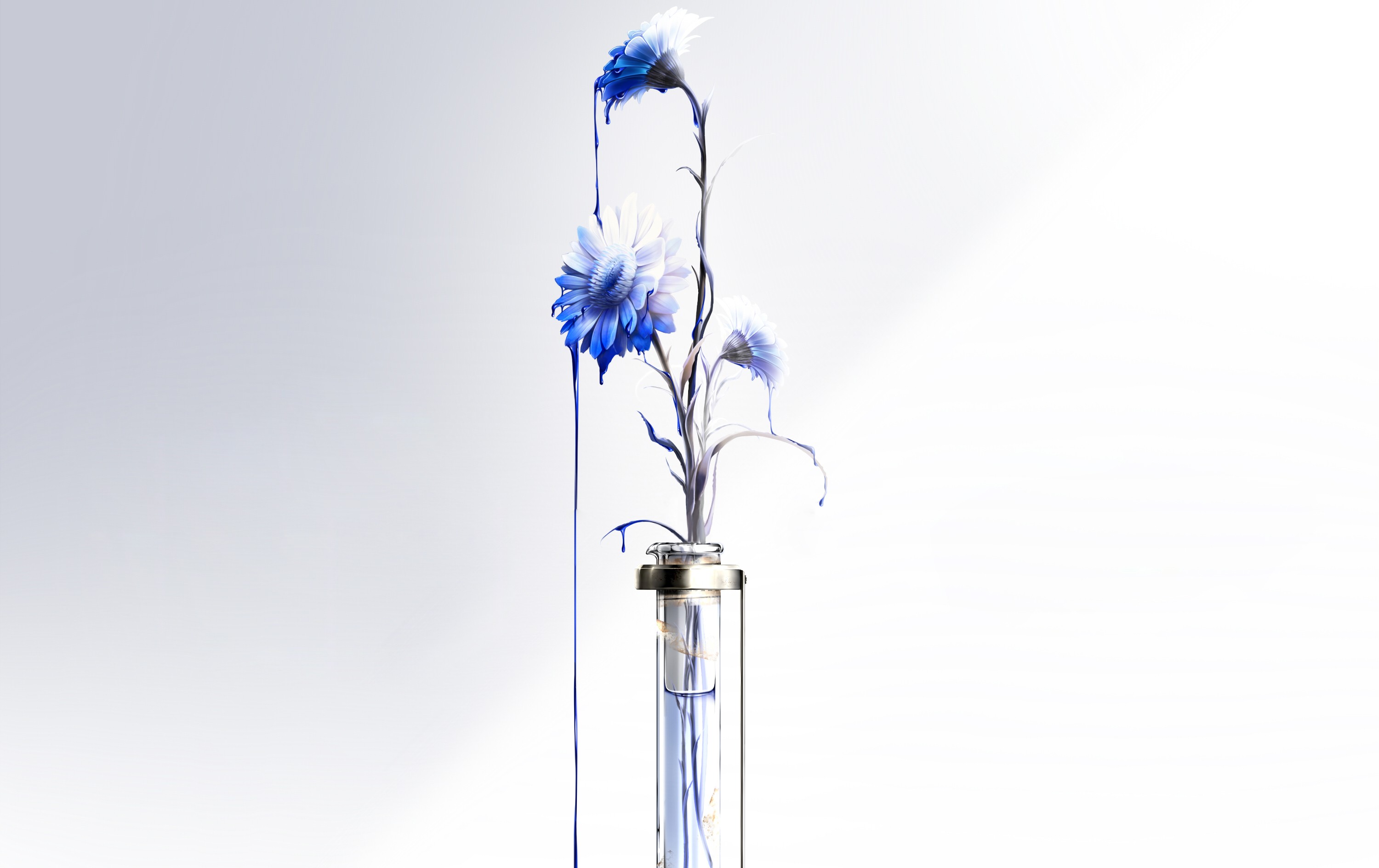 artwork, Flowers, Simple background, White background, Blue flowers Wallpaper