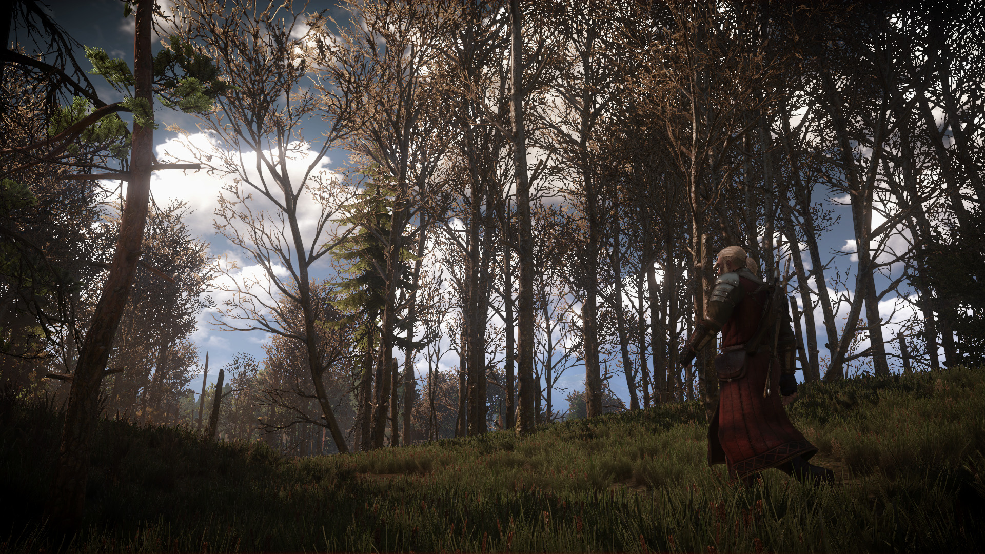 The Witcher 3: Wild Hunt, Video games Wallpaper