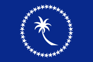 digital art, Minimalism, Blue background, Flag, Micronesia, Palm trees, Stars, Circle