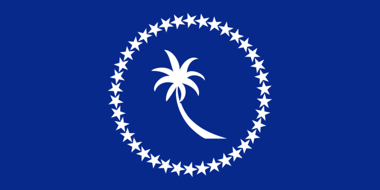 digital art, Minimalism, Blue background, Flag, Micronesia, Palm trees, Stars, Circle HD Wallpaper Desktop Background