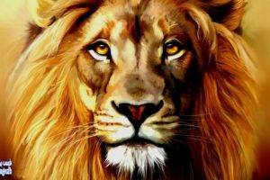 lion, Artwork, Animals