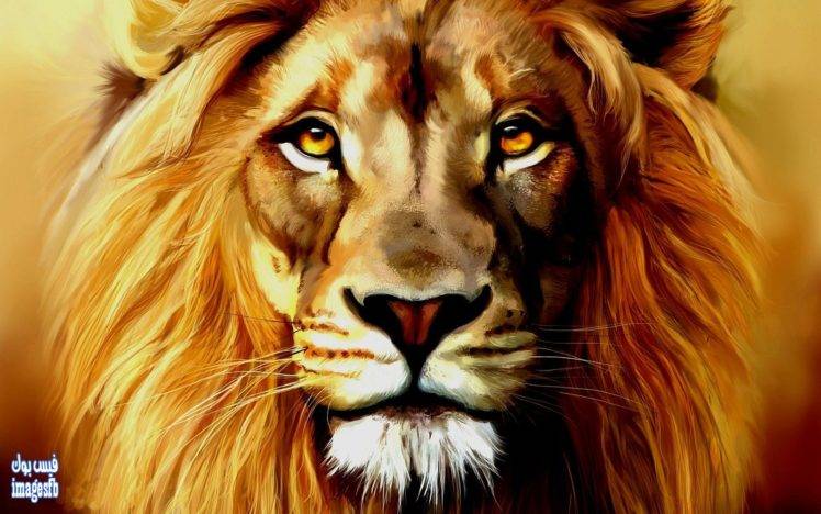 lion, Artwork, Animals HD Wallpaper Desktop Background